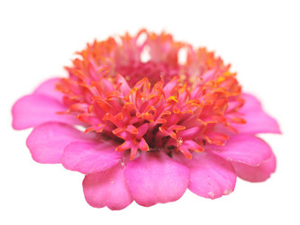 Similar image 761180