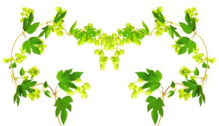 Similar image 761186