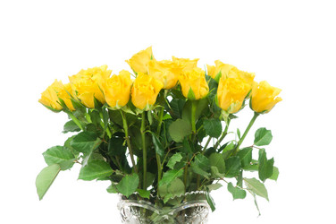 Similar image 761224