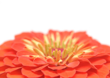 Similar image 761243