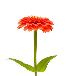 Similar image 761249