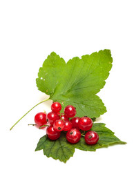 Similar image 761254