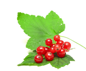 Similar image 761256