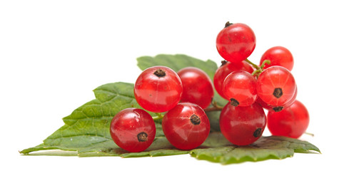 Similar image 761259