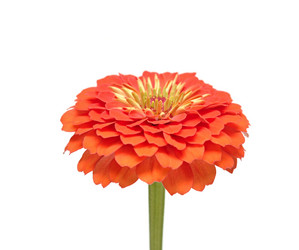 Similar image 761265