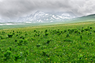 Similar image 761277