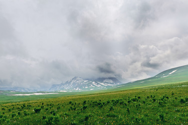 Similar image 761279