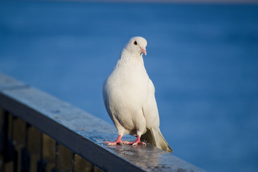 Similar image 761304