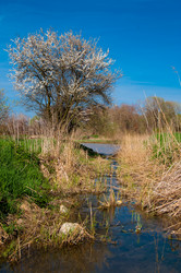 Similar image 761311