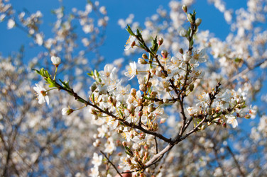 Similar image 761314