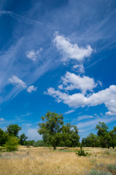 Similar image 761316