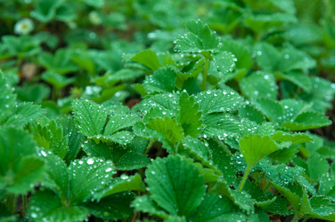 Similar image 761334