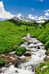 Similar image 761351