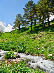 Similar image 761353