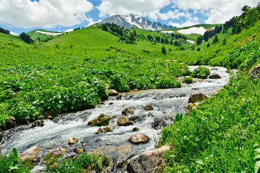 Similar image 761360