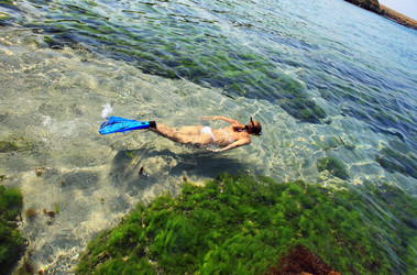 Similar image 761372