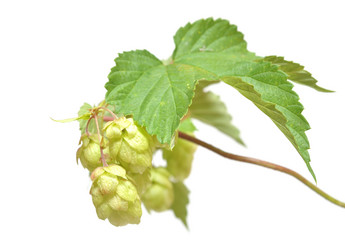 Similar image 761413