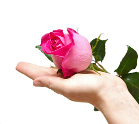 Similar image 761465