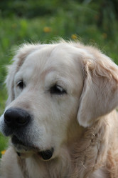 Similar image 761543