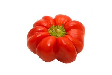 Similar image 761552