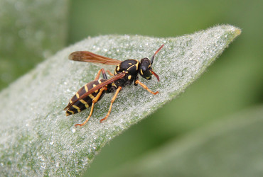 Similar image 761554