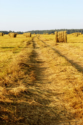 Similar image 761586