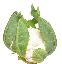 Similar image 761591