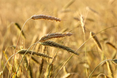 Similar image 761601