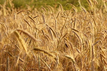 Similar image 761605