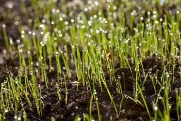 Similar image 761642