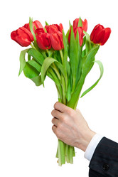 Similar image 761684