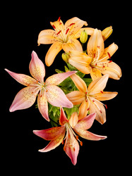 Similar image 761699