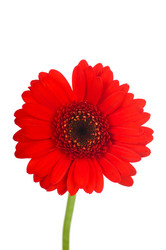 Similar image 761700