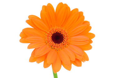 Similar image 761702