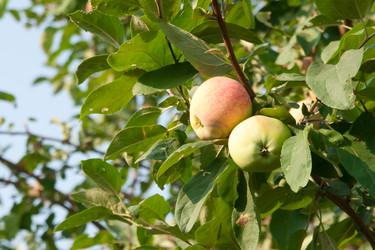 Similar image 761703