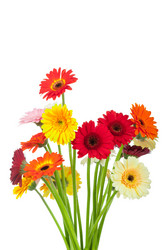 Similar image 761704