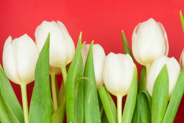 Similar image 761706