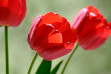 Similar image 761708