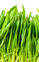 Similar image 761719