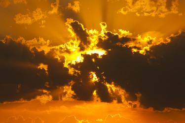 Similar image 761721