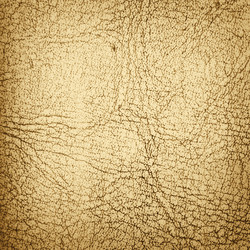 Similar image 761723