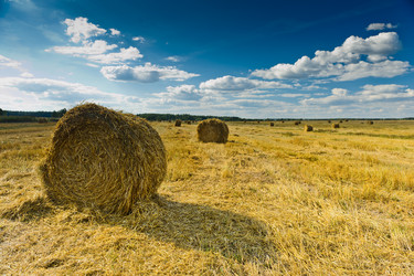 Similar image 761743