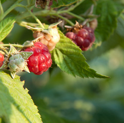 Similar image 761744