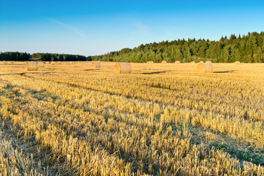 Similar image 761745