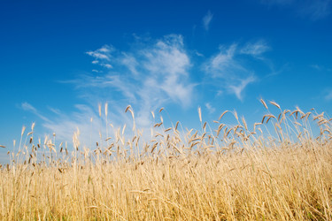 Similar image 761747