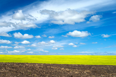 Similar image 761750