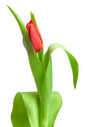 Similar image 761751