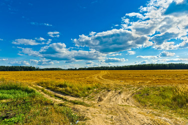 Similar image 761752