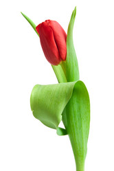 Similar image 761753