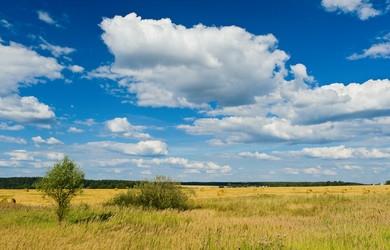 Similar image 761755